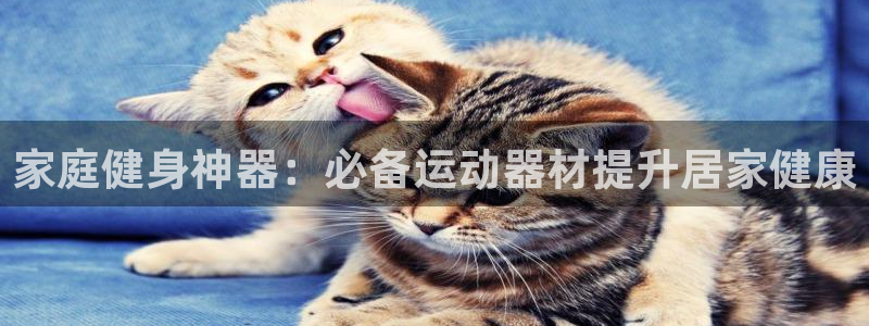 意昂体育3平台注册要钱吗：家庭健身神器：必备运动器材