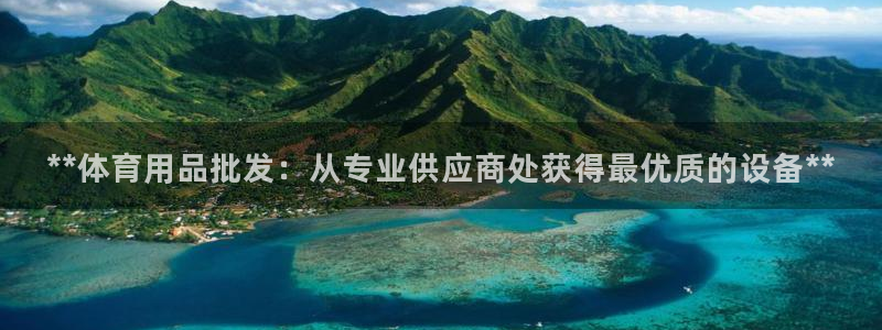 意昂3新能源：**体育用品批发：从专业供应商处获得最