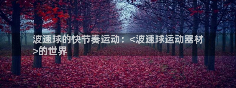 意昂3集团官网首页网址：波速球的快节奏运动：<波速球