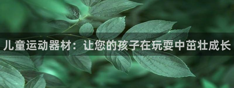 意昂体育3招商电话号码：儿童运动器材：让您的孩子在玩