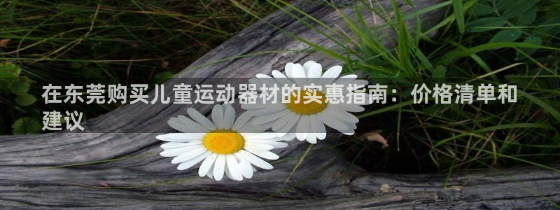 意昂3五金厂：在东莞购买儿童运动器材的实惠指南：价格