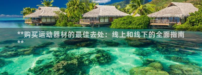 意昂3娱乐：**购买运动器材的最佳去处：线上和线下的