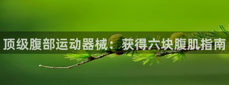 意昂3集团官网首页网址：顶级腹部运动器械：获得六块腹