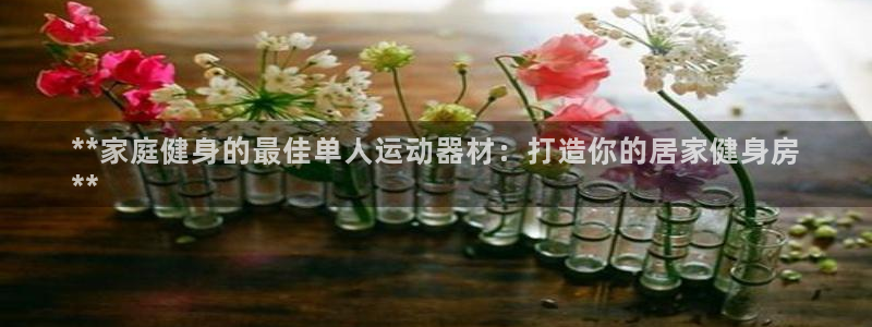 意昂3娱乐是那个系列的台子：**家庭健身的最佳单人运