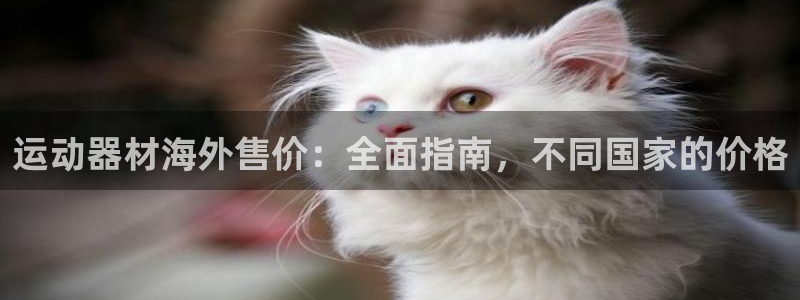 意昂体育3平台APP：运动器材海外售价：全面指南，不
