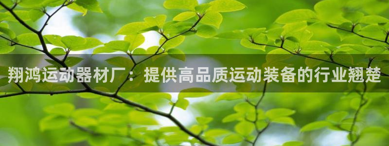 意昂3代理：翔鸿运动器材厂：提供高品质运动装备的行业