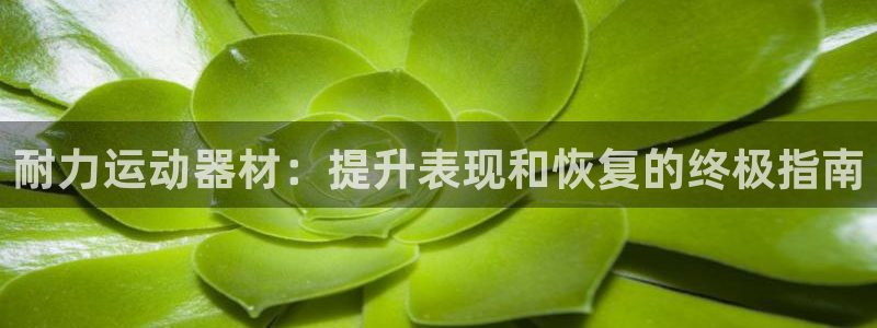 意昂体育3平台注册流程视频：耐力运动器材：提升表现和