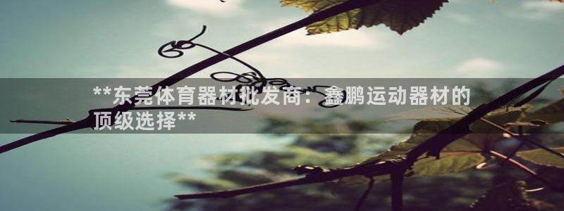 意昂平台体育：**东莞体育器材批发商：鑫鹏运动器材的