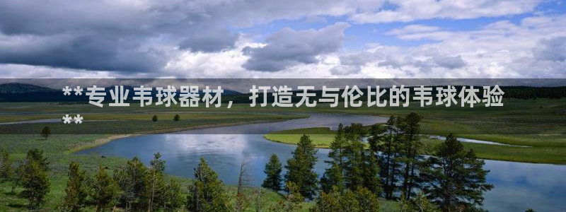 意昂3集团官网网址：**专业韦球器材，打造无与伦比的
