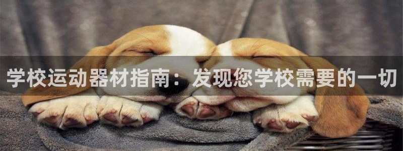 意昂体育3平台注册要钱吗是真的吗：学校运动器材指南：