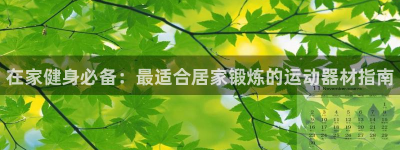 意昂3娱乐：在家健身必备：最适合居家锻炼的运动器材指