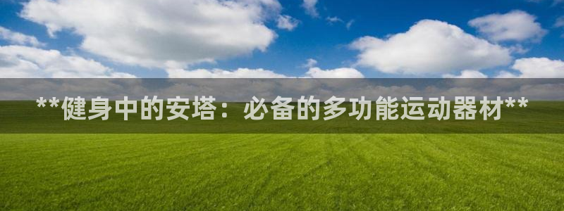 意昂3官网：**健身中的安塔：必备的多功能运动器材*