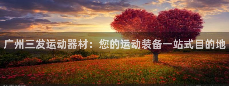 意昂3集团简介：广州三发运动器材：您的运动装备一站式