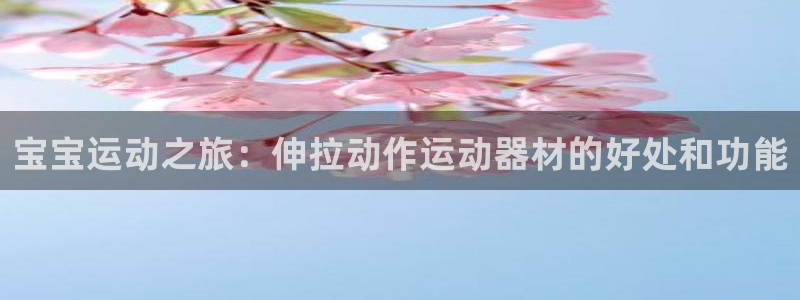 意昂3娱乐40996：宝宝运动之旅：伸拉动作运动器材