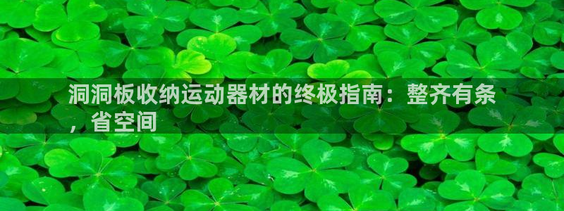 意昂3新能源：洞洞板收纳运动器材的终极指南：整齐有条