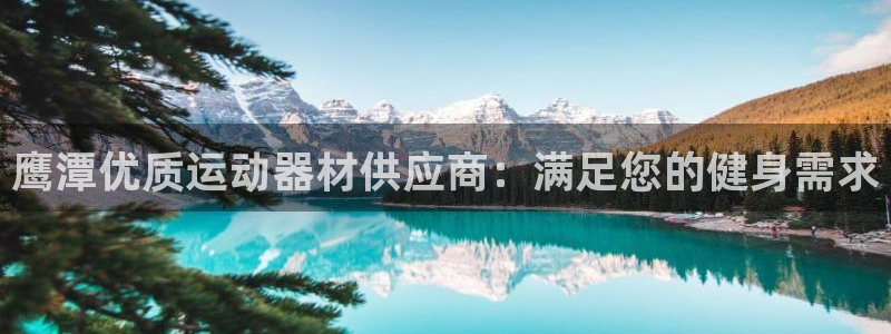 意昂3集团E.ON：鹰潭优质运动器材供应商：满足您的
