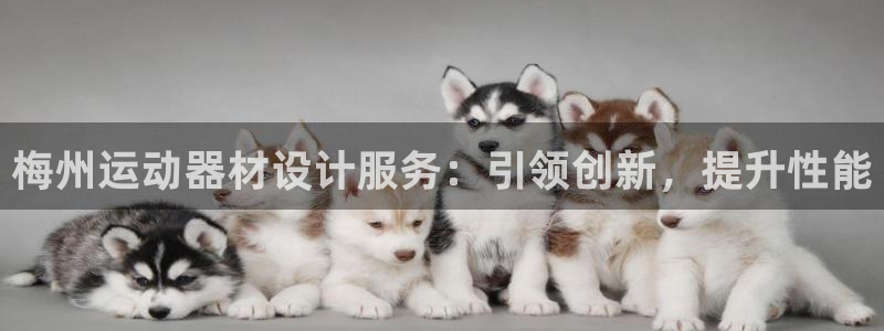 意昂集团官网：梅州运动器材设计服务：引领创新，提升性