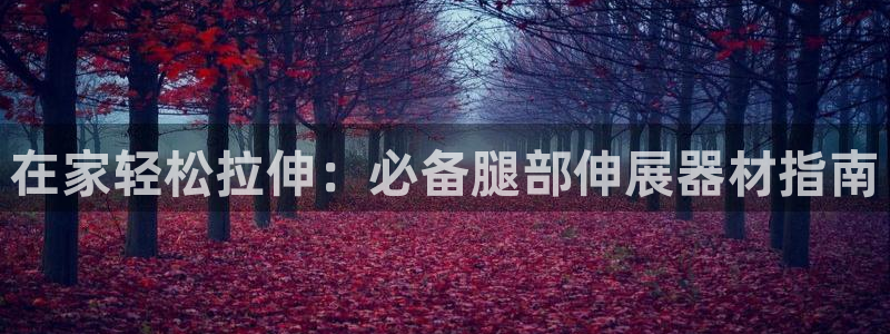 意昂体育3开户：在家轻松拉伸：必备腿部伸展器材指南