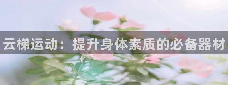 意昂体育3开户：云梯运动：提升身体素质的必备器材