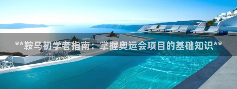 意昂体育3招商：**鞍马初学者指南：掌握奥运会项目的