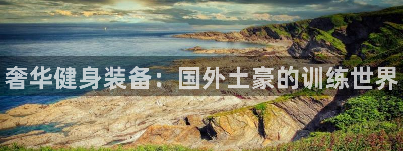 意昂体育3平台APP：奢华健身装备：国外土豪的训练世