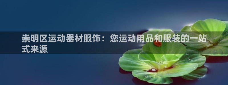 意昂体育3联系电话：崇明区运动器材服饰：您运动用品和