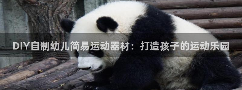 德国意昂3集团：DIY自制幼儿简易运动器材：打造孩子