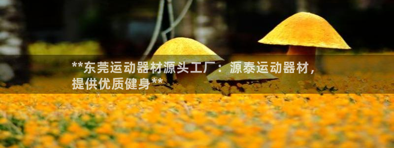 德国意昂3集团：**东莞运动器材源头工厂：源泰运动器