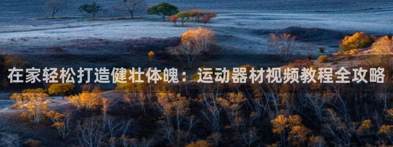 意昂3神州：在家轻松打造健壮体魄：运动器材视频教程全