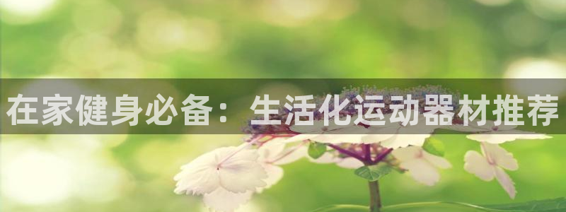 意昂3娱乐40996：在家健身必备：生活化运动器材推