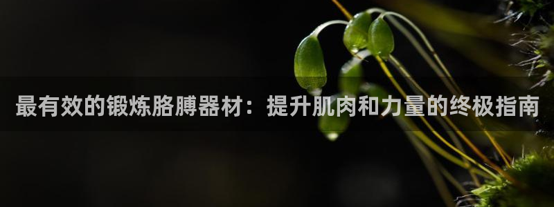 意昂体育3平台注册要钱吗安全吗：最有效的锻炼胳膊器材