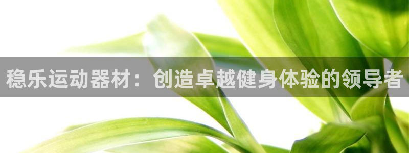 意昂3娱乐首页网站大全：稳乐运动器材：创造卓越健身体