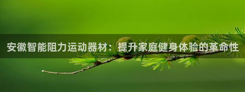 意昂体育3联系电话：安徽智能阻力运动器材：提升家庭健