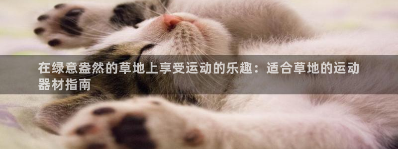 意昂体育3招商电话是多少号码：在绿意盎然的草地上享受运动的乐