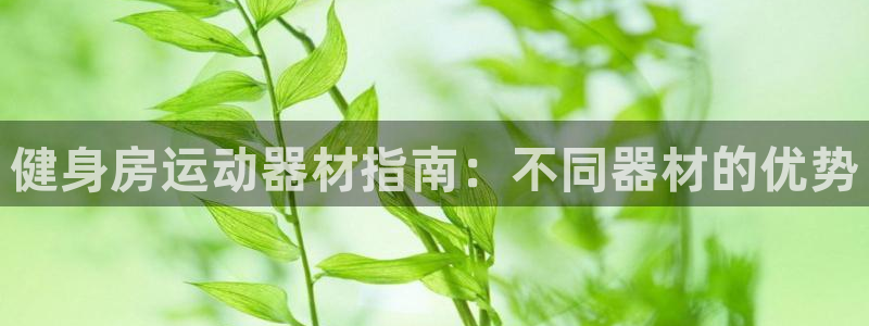 意昂体育3平台注册流程视频：健身房运动器材指南：不同