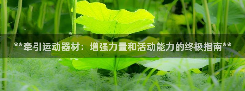 意昂体育3平台注册要钱吗：**牵引运动器材：增强力量