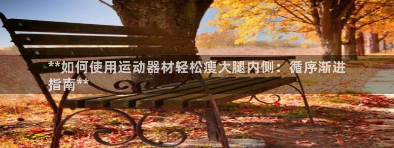 意昂3官网：**如何使用运动器材轻松瘦大腿内侧：循序