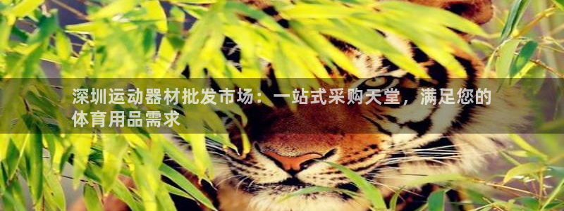 意昂体育3平台注册流程图：深圳运动器材批发市场：一站式采购天