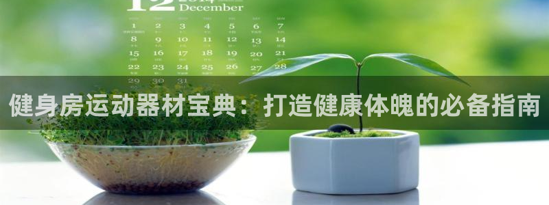 德国意昂3集团：健身房运动器材宝典：打造健康体魄的必