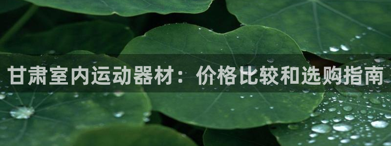 意昂3五金厂：甘肃室内运动器材：价格比较和选购指南