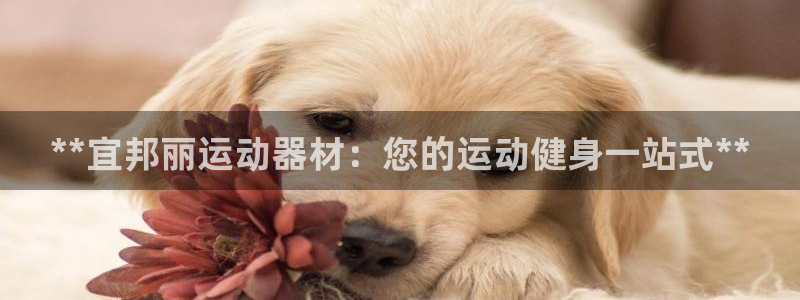 意昂体育3平台是正规平台吗安全吗：**宜邦丽运动器材