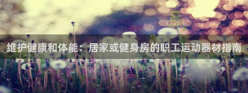 意昂3神州：维护健康和体能：居家或健身房的职工运动器