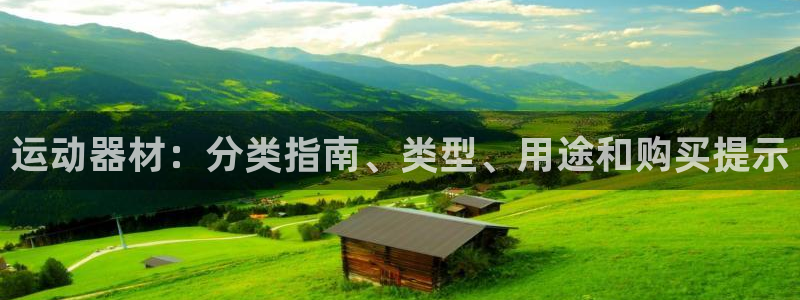 意昂3新能源：运动器材：分类指南、类型、用途和购买提