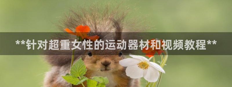 意昂3科技：**针对超重女性的运动器材和视频教程**