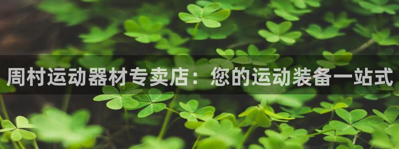意昂3神州：周村运动器材专卖店：您的运动装备一站式