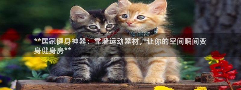 意昂体育3招商电话地址：**居家健身神器：靠墙运动器