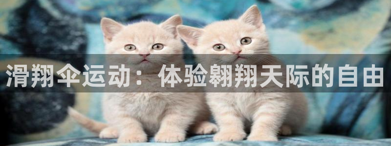 意昂体育3招商电话号码查询：滑翔伞运动：体验翱翔天际