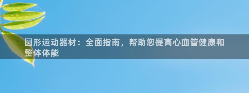 意昂3代理：圆形运动器材：全面指南，帮助您提高心血管