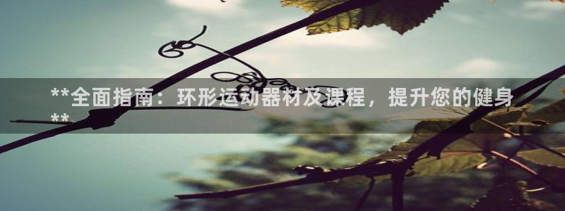 意昂体育3招商电话号码是多少啊：**全面指南：环形运