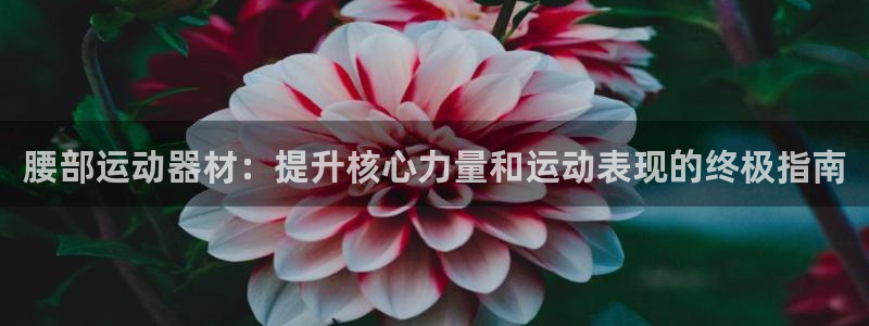 意昂体育3平台注册流程图：腰部运动器材：提升核心力量和运动表